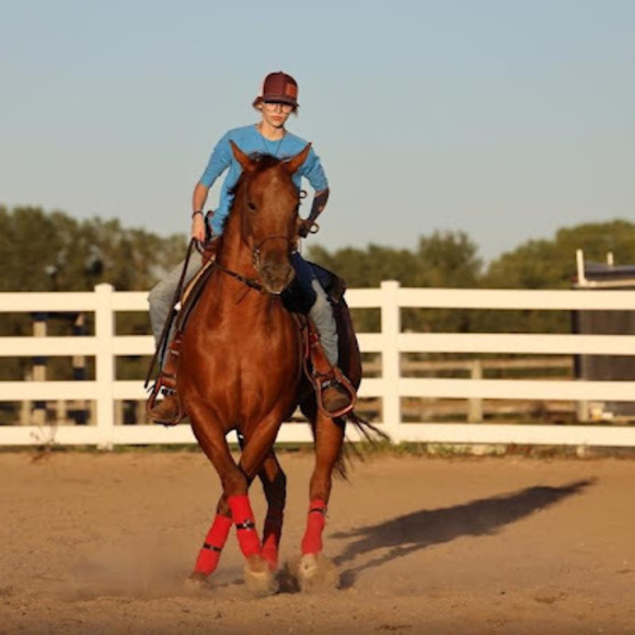 Meet your Posher, Sydney - Picture 1 of 1